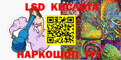 шишки Краснознаменск
