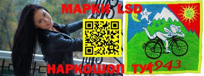 шишки Краснознаменск