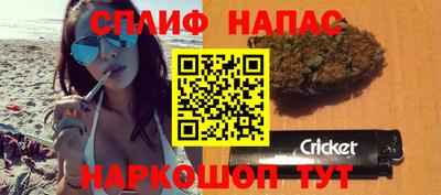 шишки Краснознаменск