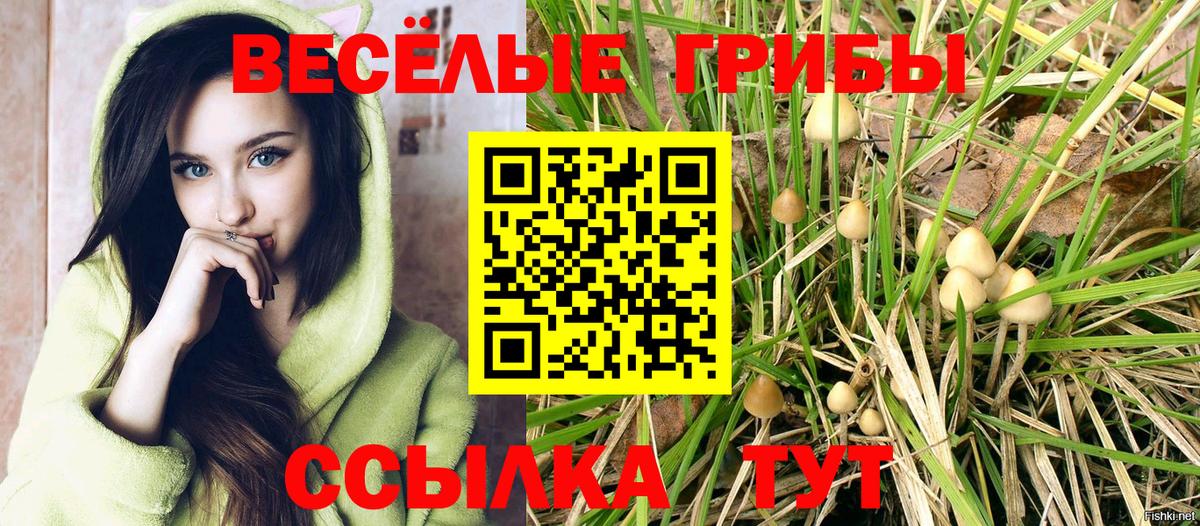 Ейск  Галлюциногенные грибы Psilocybine cubensis  Галлюциногенные грибы прущие грибы  Вход с VPN 