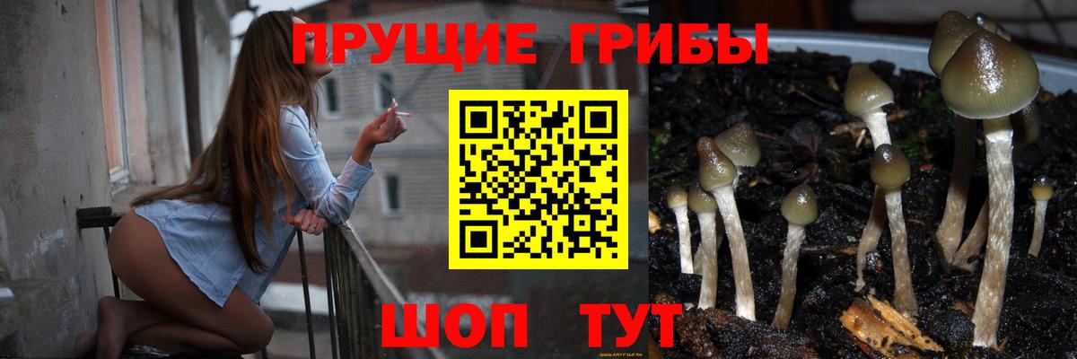 Псилоцибиновые грибы прущие грибы Ейск